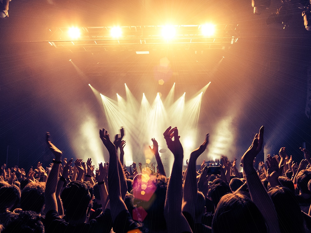 Audience point of view