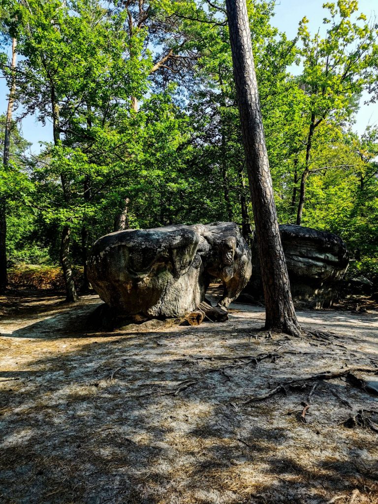 respirer rocher foret fontainebleau seine et marne x